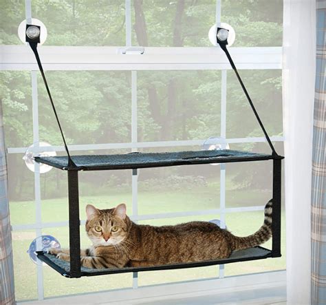 renter friendly cat shelves|No Drill Cat Shelf in 2022